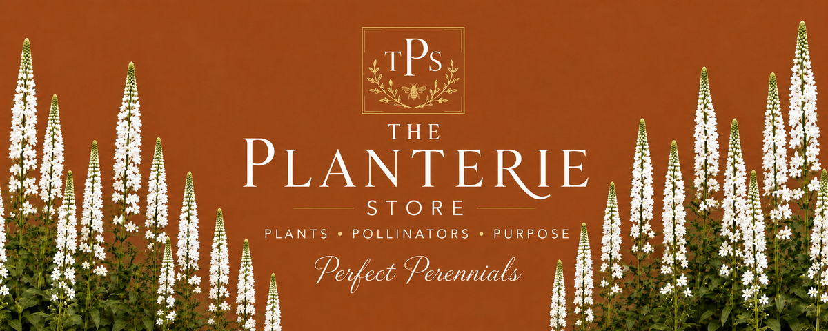 ThePlanterieStore