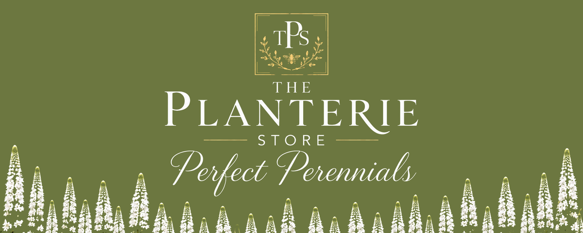 ThePlanterieStore